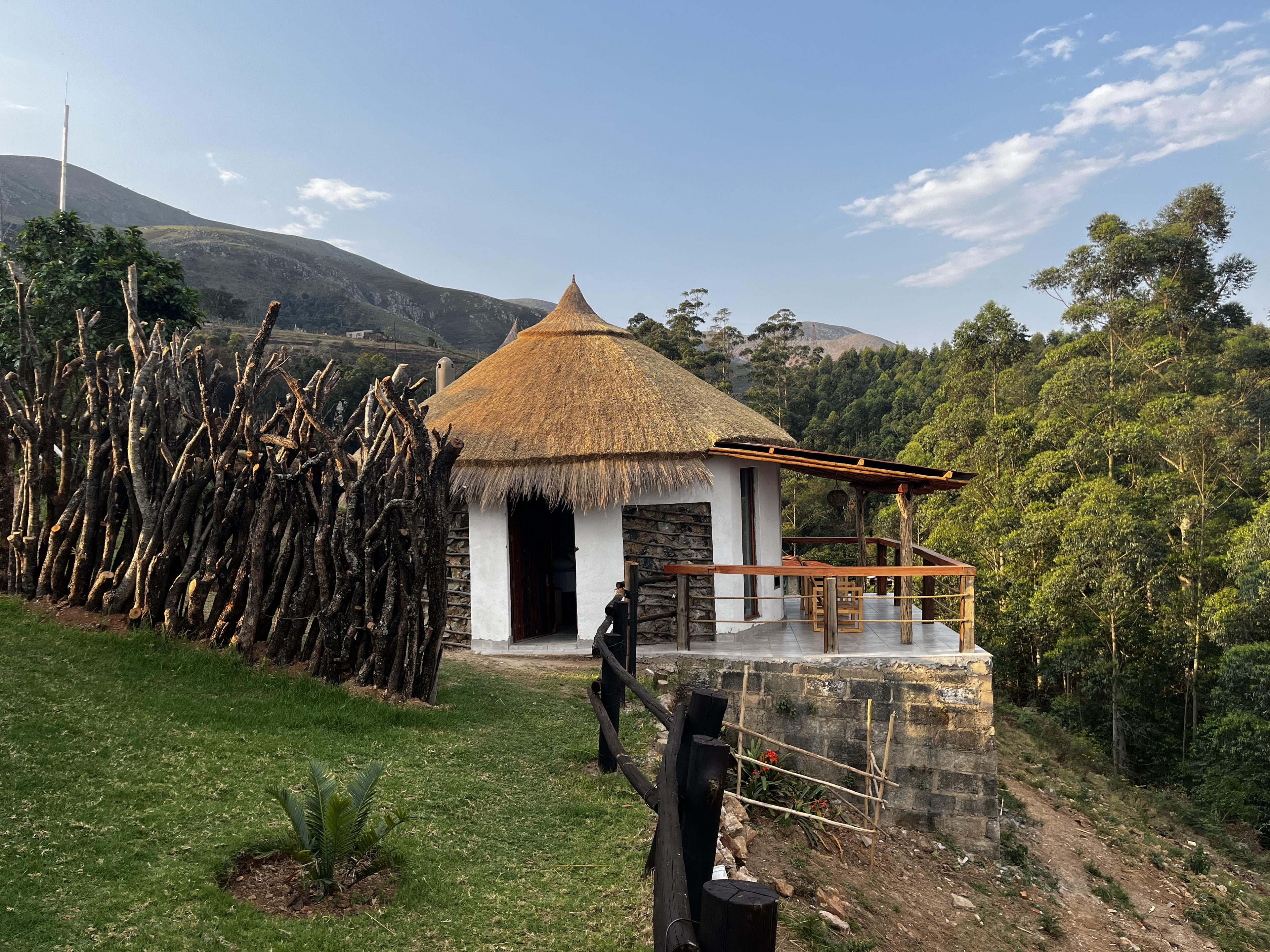 Forest View Chalet — View 1