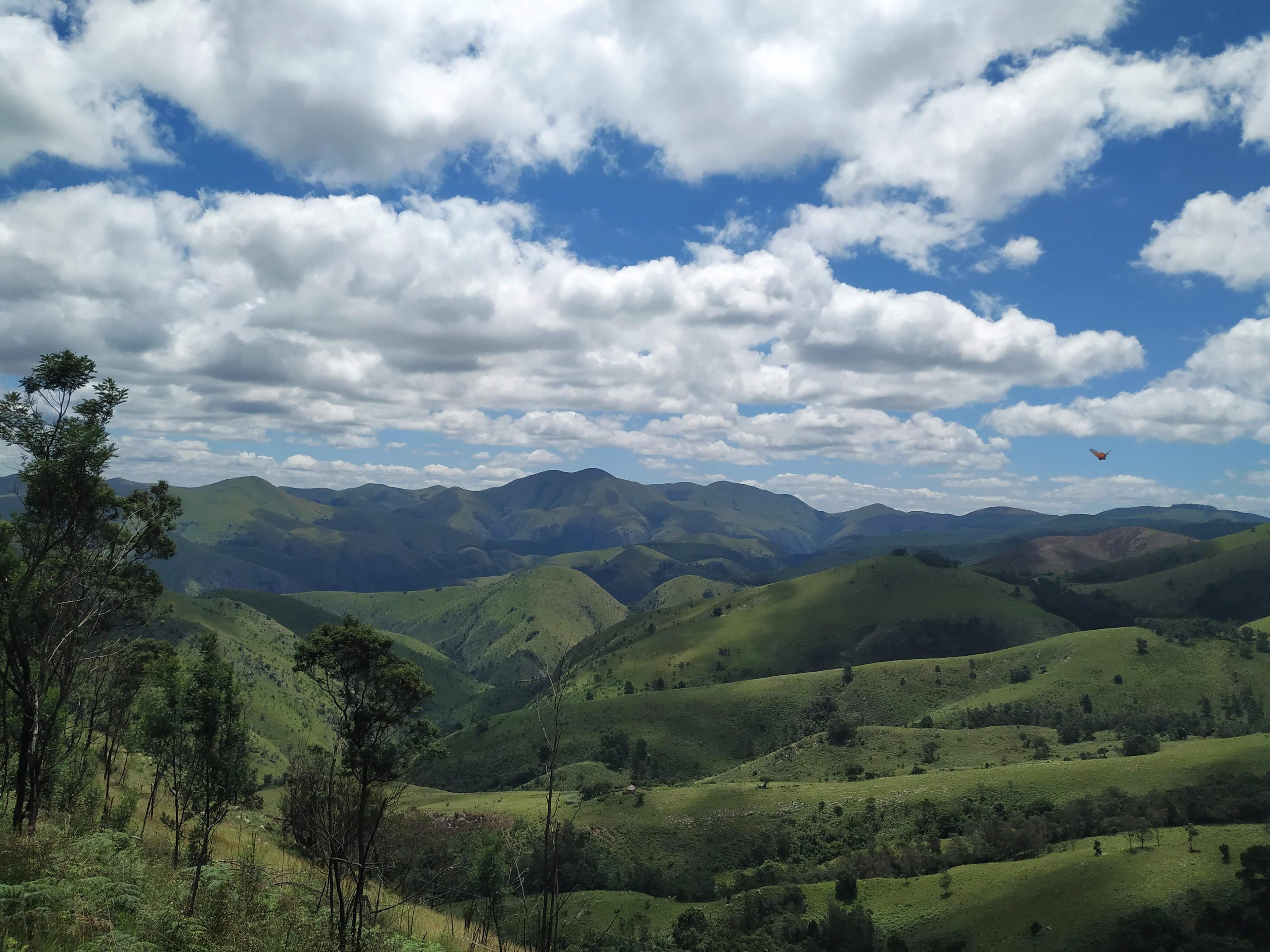 Barberton Makhonjwa Geotrail