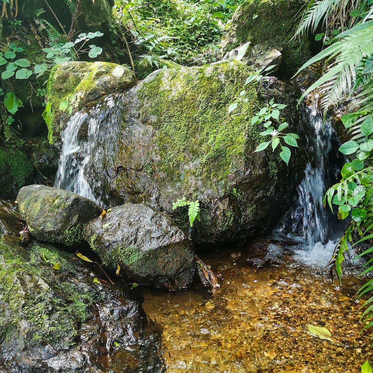Person working on laptop